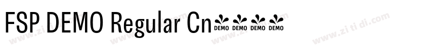FSP DEMO Regular Cn字体转换